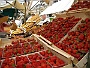 2009-Padova-Frutti di stagione in Piazza delle Erbe